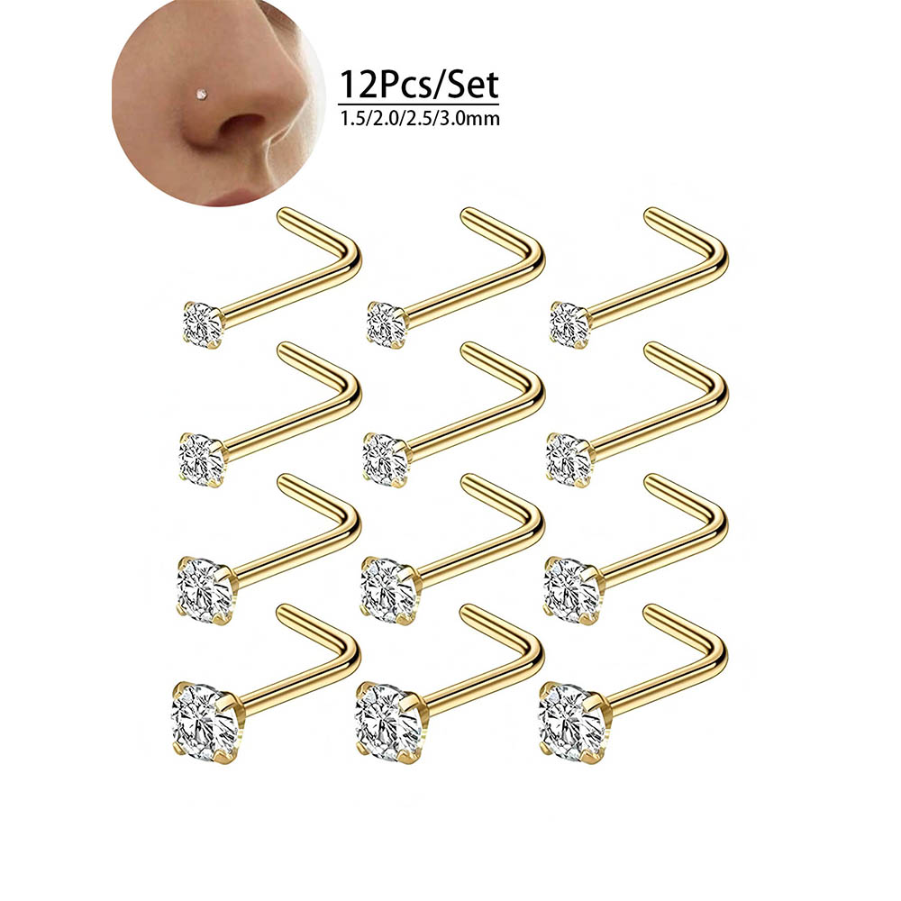 12-Piece Full Set 316L Hypoall - Body Jewelry Hoops recension och pris