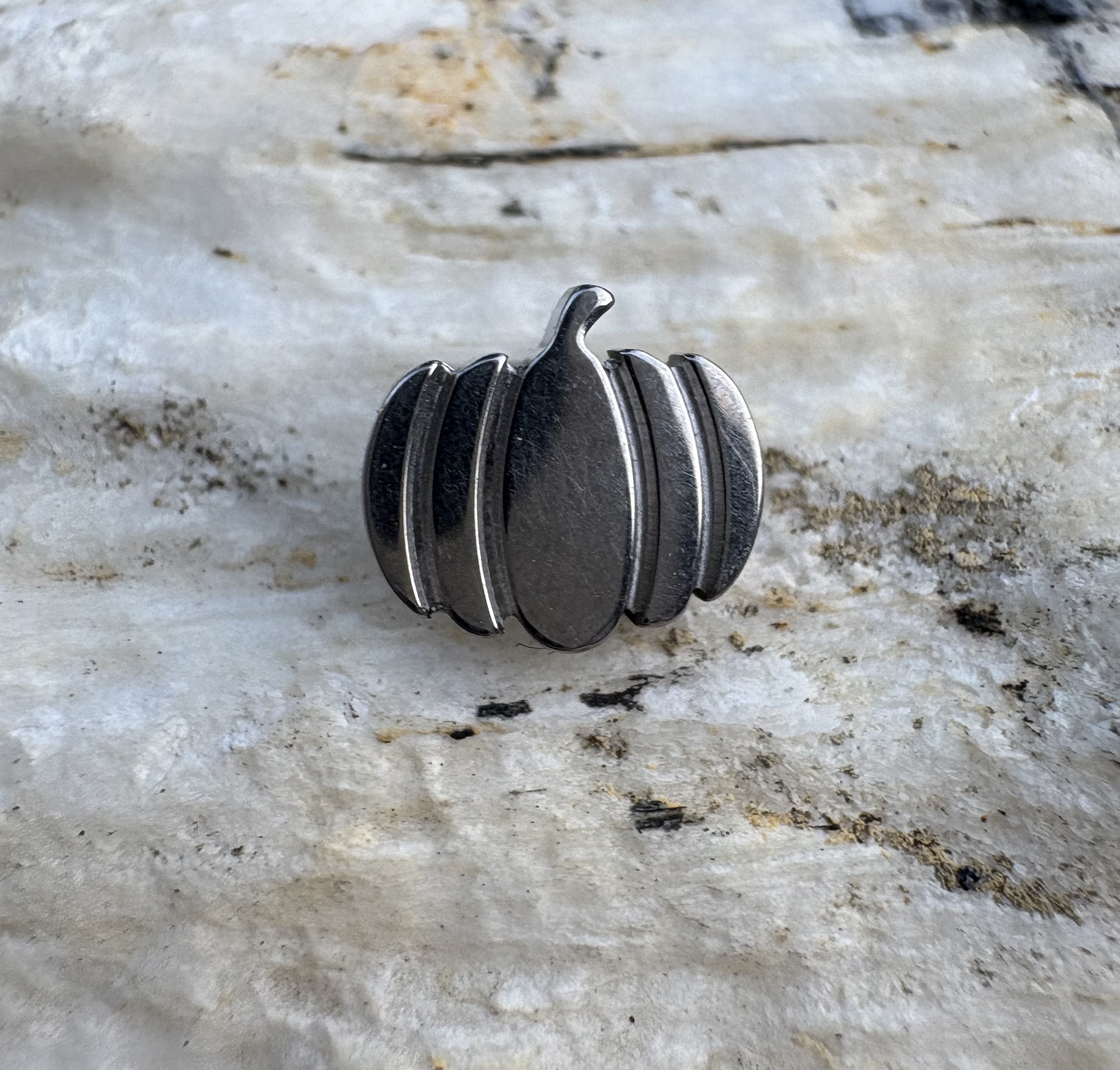 16G Implant Grade Titanium AST - Body Jewelry Implant Grade Titanium recension och pris